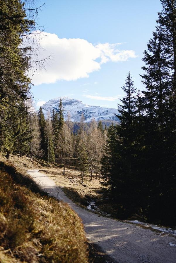 Rifugio Malga Ra Stua Villa Cortina dʼAmpezzo Dış mekan fotoğraf